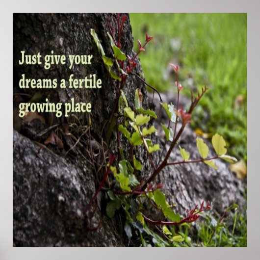 Mooie citaten poster (Voorkant)