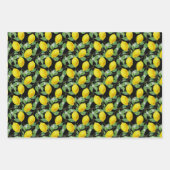 Mooie citroen verpakking papier vellen (Voorkant 3)