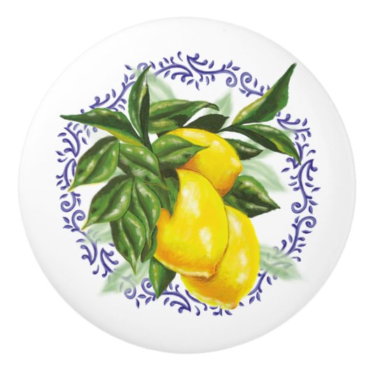 Mooie citroenen en blauw toilet keramische knop (Voorkant)