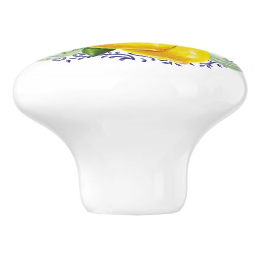 Mooie citroenen en blauw toilet keramische knop (Zijkant)