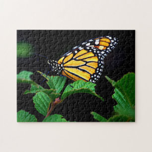 Mooie close-up Monarch Butterfly Puzzle Legpuzzel