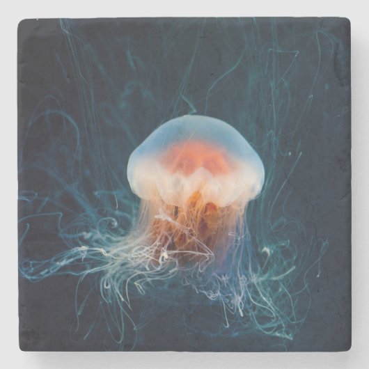 Mooie Close-Up van een Deep Ocean Jellyfish Stenen Onderzetter (Voorkant)