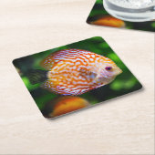 Mooie close-up van een discusvis kartonnen onderzetters (Schuin)