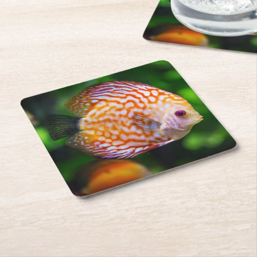 Mooie close-up van een discusvis kartonnen onderzetters (Schuin)