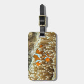 Mooie Clownvis Bagagelabel (Voorkant verticaal)