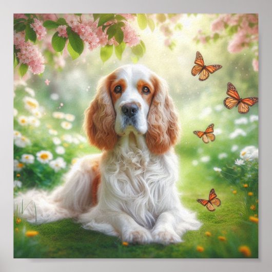 mooie Clumber Spaniel Poster (Voorkant)