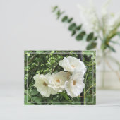 Mooie Cluster White Roses Chic Floral Briefkaart (Staand voorkant)