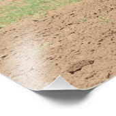 Mooie clydesdale paarden die ploegen foto afdruk (Hoek)