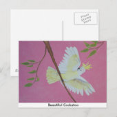 Mooie Cockato Briefkaart (Voorkant / Achterkant)