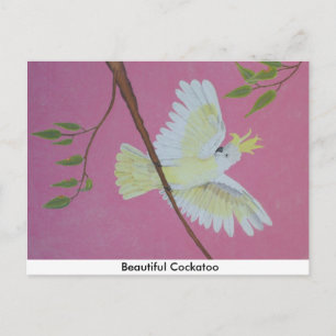 Mooie Cockato Briefkaart