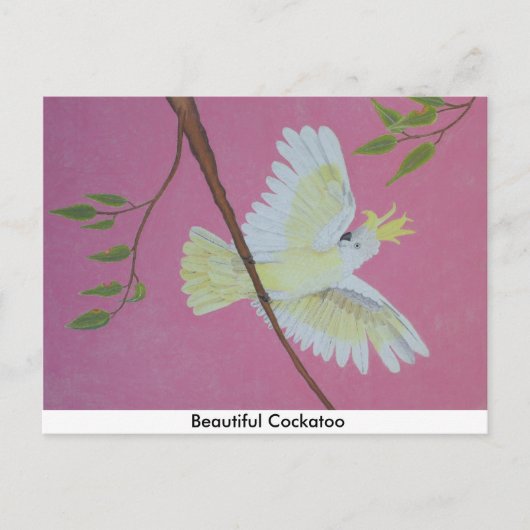 Mooie Cockato Briefkaart (Voorkant)