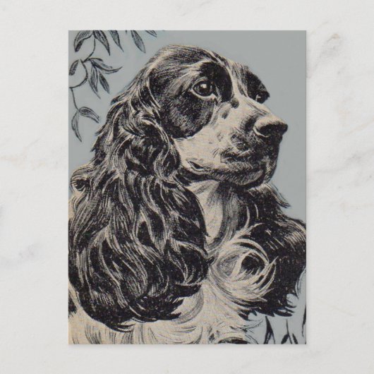 mooie cocker spaniel briefkaart (Voorkant)