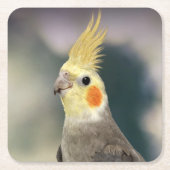 Mooie cockpitset Onderzetter (Voorkant)