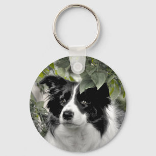 Mooie Collie Hond Sleutelhanger
