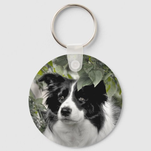 Mooie Collie Hond Sleutelhanger (Voorkant)