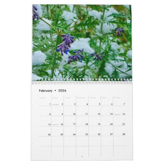 Mooie Colorado Kalender (Feb 2026)