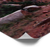 Mooie Colorado Mountain Trail Poster (Hoek)