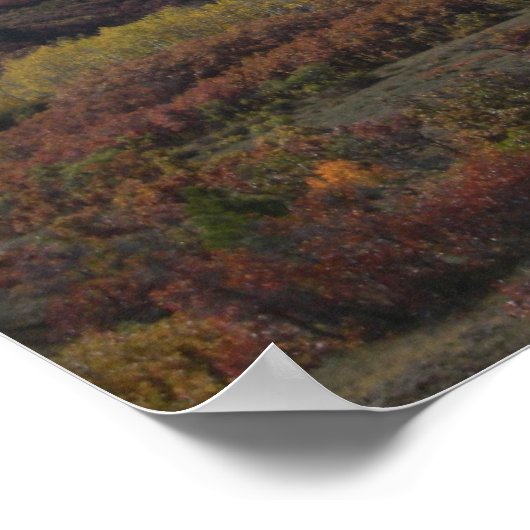 Mooie Colorado Poster (Hoek)