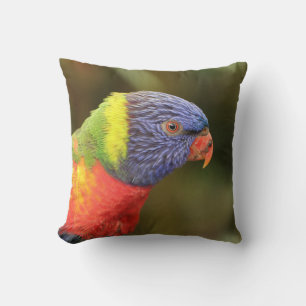 Mooie Colorful Parrot Kussen