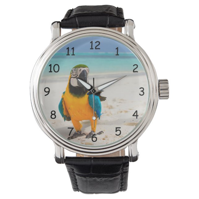 Mooie Colorful Parrot op de zand Horloge (Voorkant)
