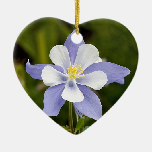Mooie Columbine Keramisch Ornament (Voorkant)