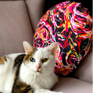 Mooie Cool Colorful Funky Rond Kussen