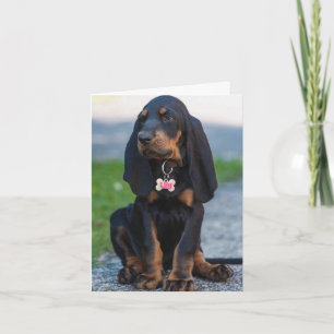 Mooie coonhound elke gelegenheid kaart