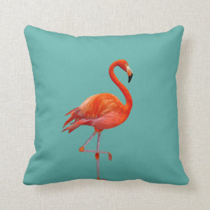 Mooie Coral Pink Flamingo op Blauwgroen Kussen