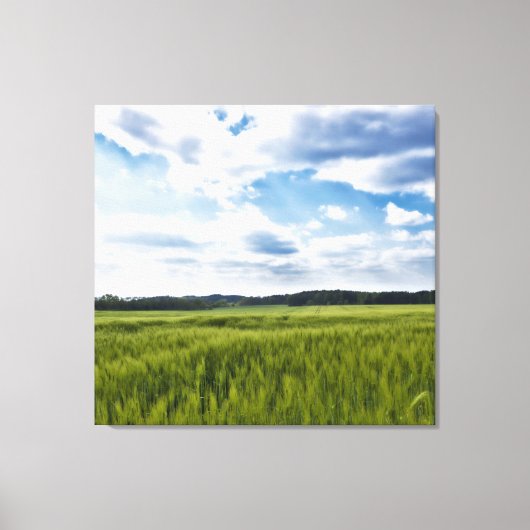 Mooie Cornfields Canvas Afdruk (Voorkant)
