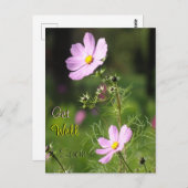 Mooie Cosmea Bloemen Beterschap Kaart (Voorkant / Achterkant)