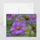 Mooie Cosmea Bloemen Dank Je Postkaart (Voorkant / Achterkant)