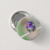 Mooie Costa's kolibrie Ronde Button 3,2 Cm (Voorkant /achterkant)