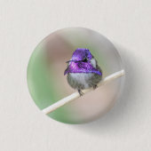 Mooie Costa's kolibrie Ronde Button 3,2 Cm (Voorkant)