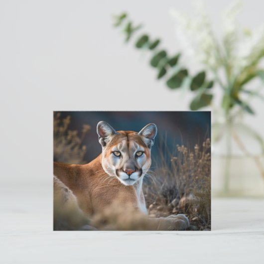 Mooie Cougar Mountain Lion Wilderness Natuur Briefkaart (Staand voorkant)