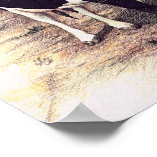 'Mooie Creamer' Poster (Hoek)