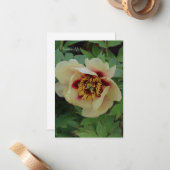 Mooie crème gele pioen notitiekaartje (Voorkant / Achterkant in situ)