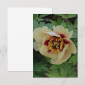 Mooie crème gele pioen notitiekaartje (Voorkant / Achterkant)