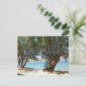 Mooie Crete Briefkaart (Staand voorkant)