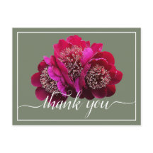 Mooie Crimson Pioenenkleur achtergrond Dank u