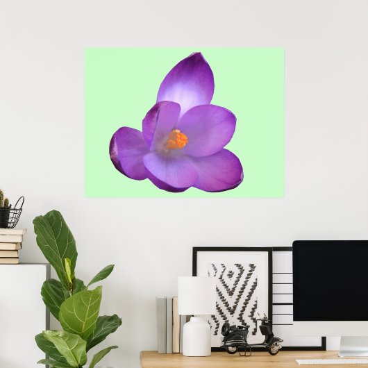 Mooie Crocus-afdrukken Poster (Thuiskantoor)