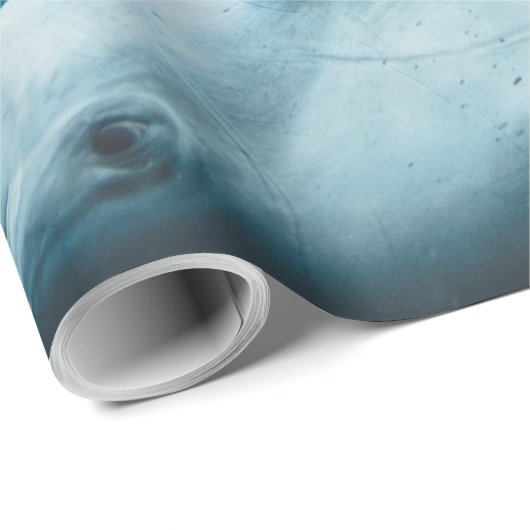 Mooie Cute Dolphins Cadeaupapier (Rol Hoek)