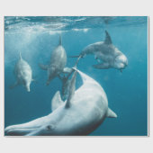 Mooie Cute Dolphins Cadeaupapier (Vlak)