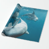 Mooie Cute Dolphins Cadeaupapier (Uitgerold)
