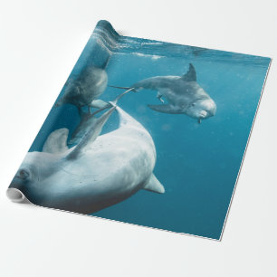 Mooie Cute Dolphins Cadeaupapier