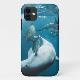 Mooie Cute Dolphins Case-Mate iPhone Case
