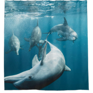 Mooie Cute Dolphins Douchegordijn