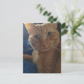 Mooie Cute Ginger Tabby Kat Briefkaart (Staand voorkant)