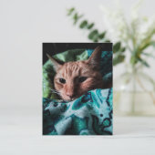 Mooie Cute Schattige Tabby Kat Briefkaart (Staand voorkant)