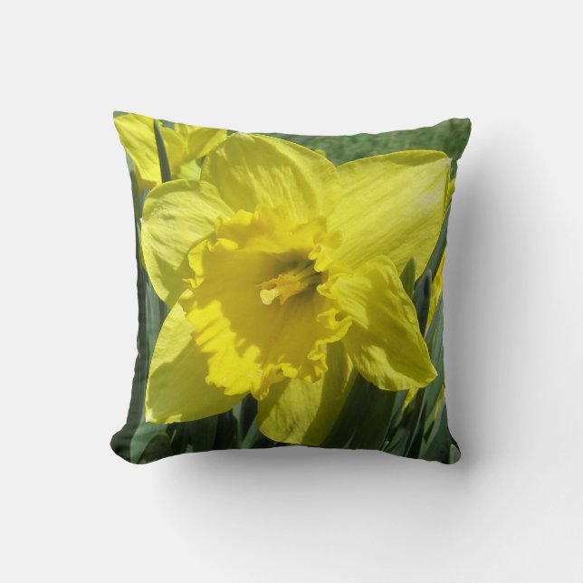 Mooie daffodil kussen (Voorkant)