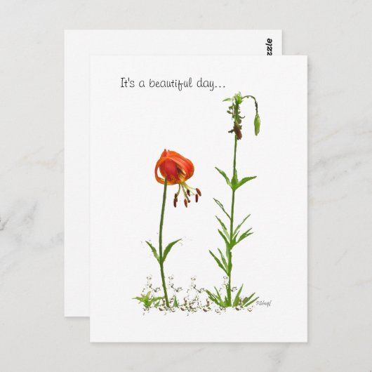 Mooie dag... briefkaart (Voorkant / Achterkant)